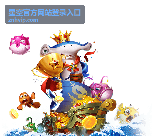 星空官方网站登录入口的核心功能模块介绍